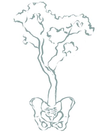 Lo Mathias – Tall Trees Pelvic Care