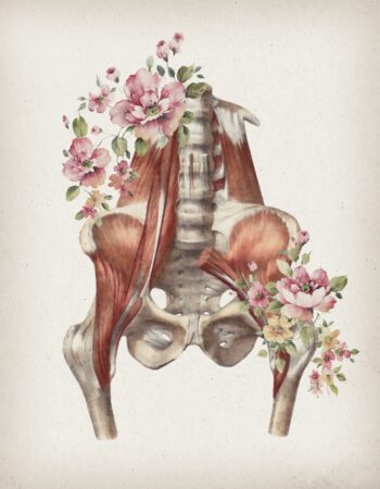 Lo Mathias – Tall Trees Pelvic Care